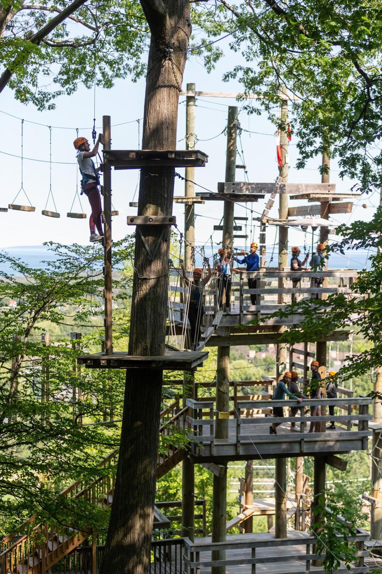 Blue Mountain Village Station touristique 4*